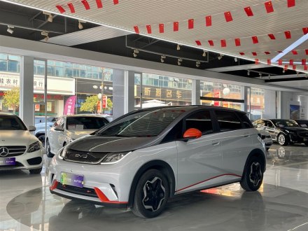 海豚 2021款 405km 自由版