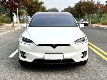 Model X 2019款 长续航版