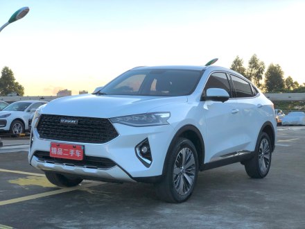 哈弗F7x 2019款 1.5T 两驱极智潮玩版