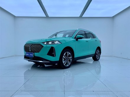 玛奇朵DHT-PHEV 2021款 1.5L 大师版