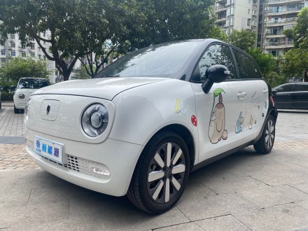 欧拉黑猫 2021款 351km 豪华型