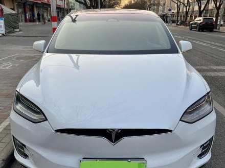 Model X 2019款 长续航版