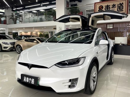 Model X 2019款 长续航版