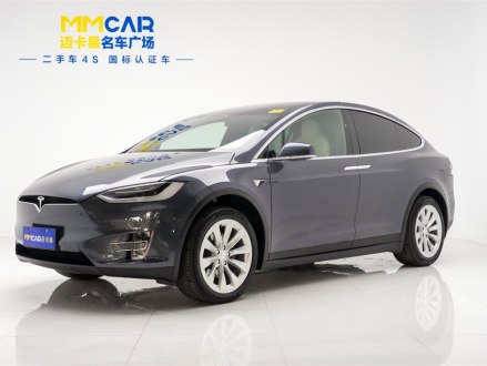Model X 2020款 长续航升级版