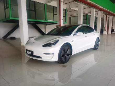 Model 3进口 2019款 长续航后驱版