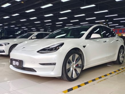 Model 3进口 2019款 Performance高性能全轮驱动版