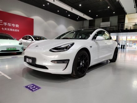 Model 3进口 2019款 长续航全轮驱动版
