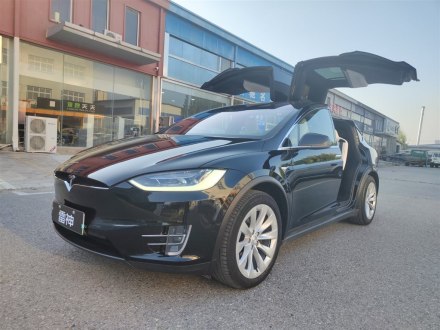 Model X 2016款 Model X 75D