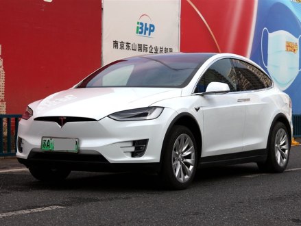 Model X 2019款 长续航版