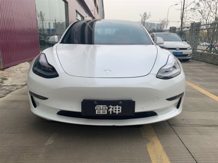 Model 3(进口) 2019款 长续航后驱版