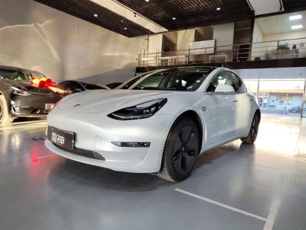 Model 3进口 2019款 长续航后驱版