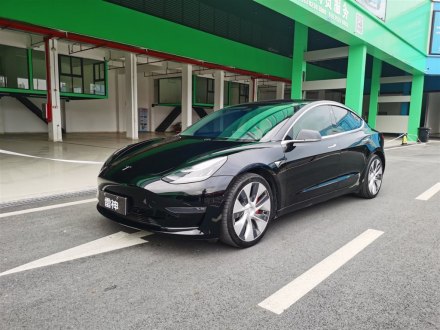 Model 3进口 2019款 Performance高性能全轮驱动版