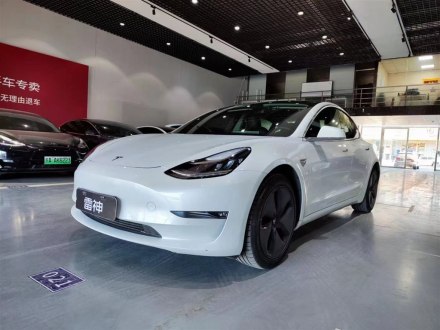 Model 3进口 2019款 长续航全轮驱动版