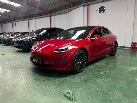 Model 3进口 2019款 Performance高性能全轮驱动版