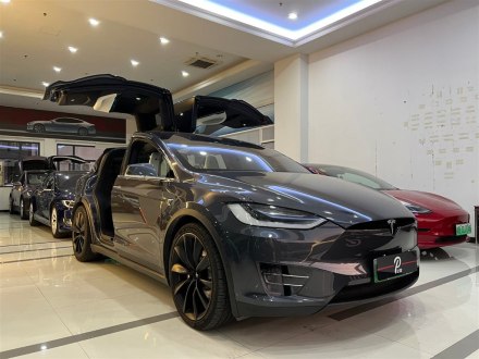 Model X 2017款 Model X 100D 长续航版