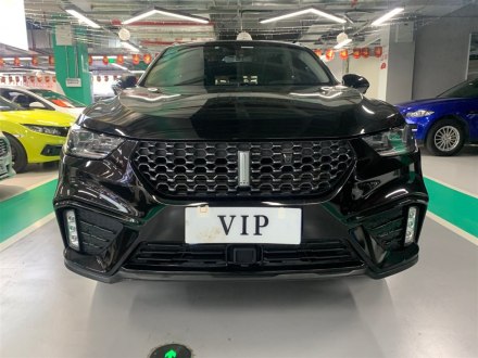 魏牌 VV5 2020款 1.5T 两驱颜先锋