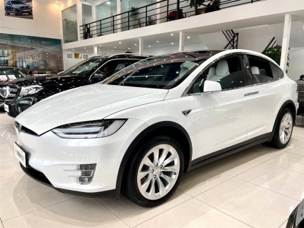 Model X 2017款 Model X 100D 长续航版