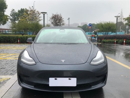 Model 3进口 2019款 标准续航后驱升级版