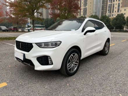 魏牌 VV5 2019款 升级款 2.0T 两驱超豪型 国V