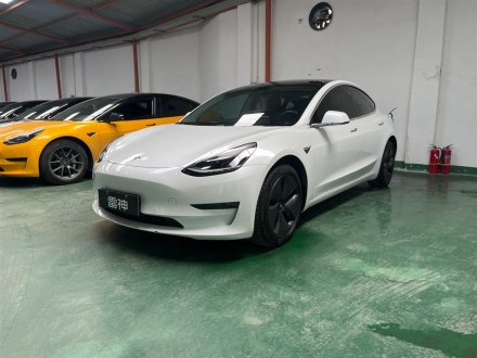 Model 3(进口) 2019款 长续航全轮驱动版