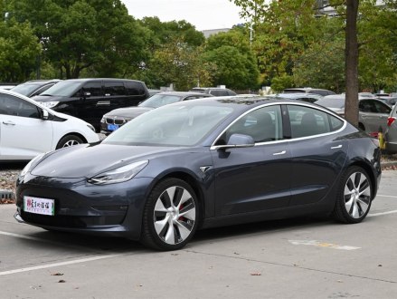 Model 3(进口) 2019款 Performance高性能全轮驱动版