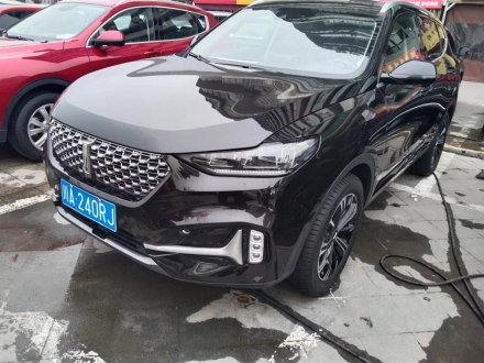 魏牌 VV6 2021款 2.0T 两驱智护+