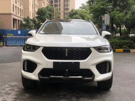 魏牌 VV5 2019款 升级款 2.0T 两驱超豪型 国V