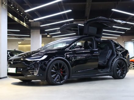 Model X 2019款 Performance 高性能版