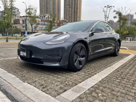 Model 3(进口) 2019款 长续航后驱版