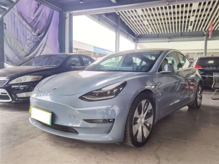 Model 3进口 2019款 Performance高性能全轮驱动版