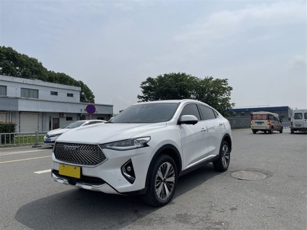 哈弗F7x 2021款 1.5T 两驱极智潮玩版