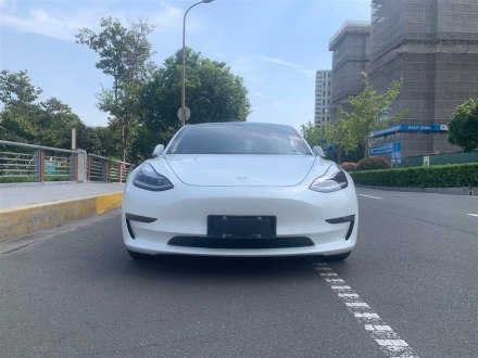 Model 3进口 2019款 长续航全轮驱动版