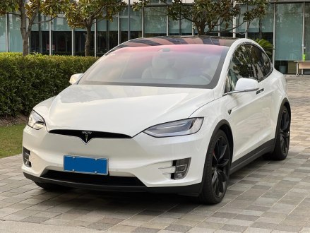 Model X 2016款 Model X P100D Performance高性能版