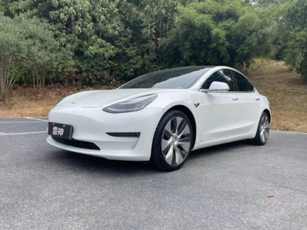 Model 3(进口) 2019款 Performance高性能全轮驱动版