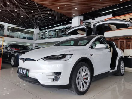 Model X 2019款 Performance 高性能版