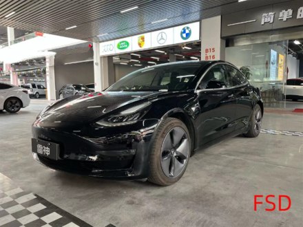 Model 3进口 2019款 长续航后驱版