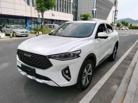 哈弗F7x 2019款 1.5T 两驱极智潮玩版
