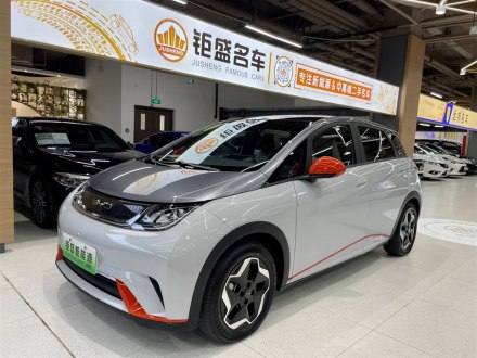 海豚 2021款 405km 时尚版