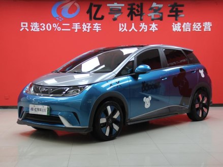 海豚 2021款 401km 骑士版