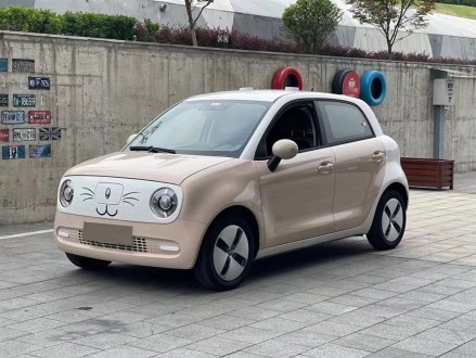 欧拉黑猫 2021款 301km 基础型