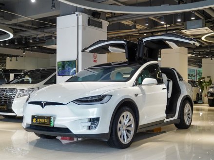 Model X 2020款 长续航升级版