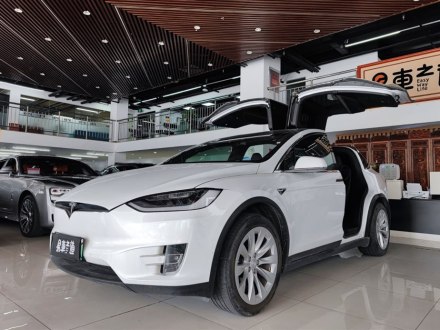 Model X 2019款 长续航版