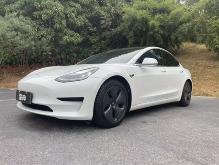 Model 3进口 2019款 标准续航后驱升级版