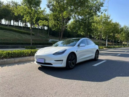 Model 3进口 2019款 长续航全轮驱动版
