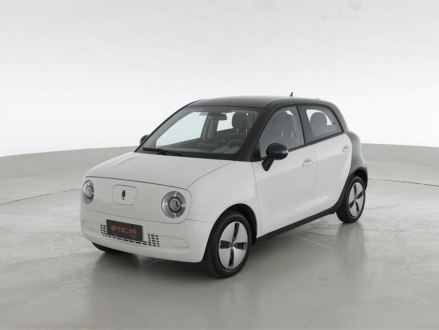 欧拉黑猫 2021款 301km 基础型