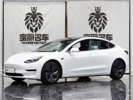 Model 3进口 2019款 长续航后驱版