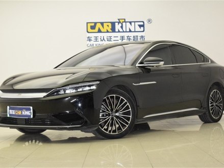 汉 2020款 EV 超长续航版豪华型