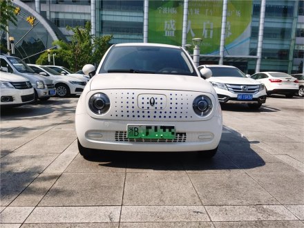 欧拉黑猫 2022款 351km 舒适型 三元锂