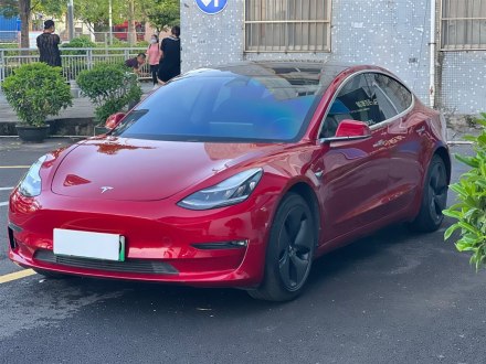 Model 3进口 2019款 长续航后驱版