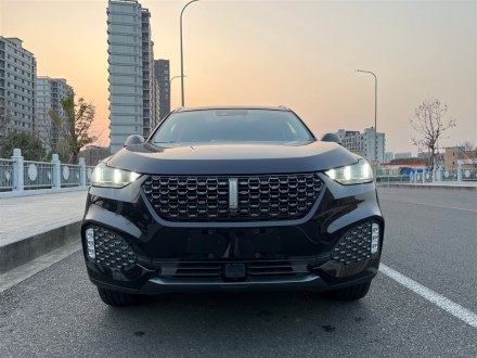 魏牌 VV6 2020款 2.0T 两驱智护+